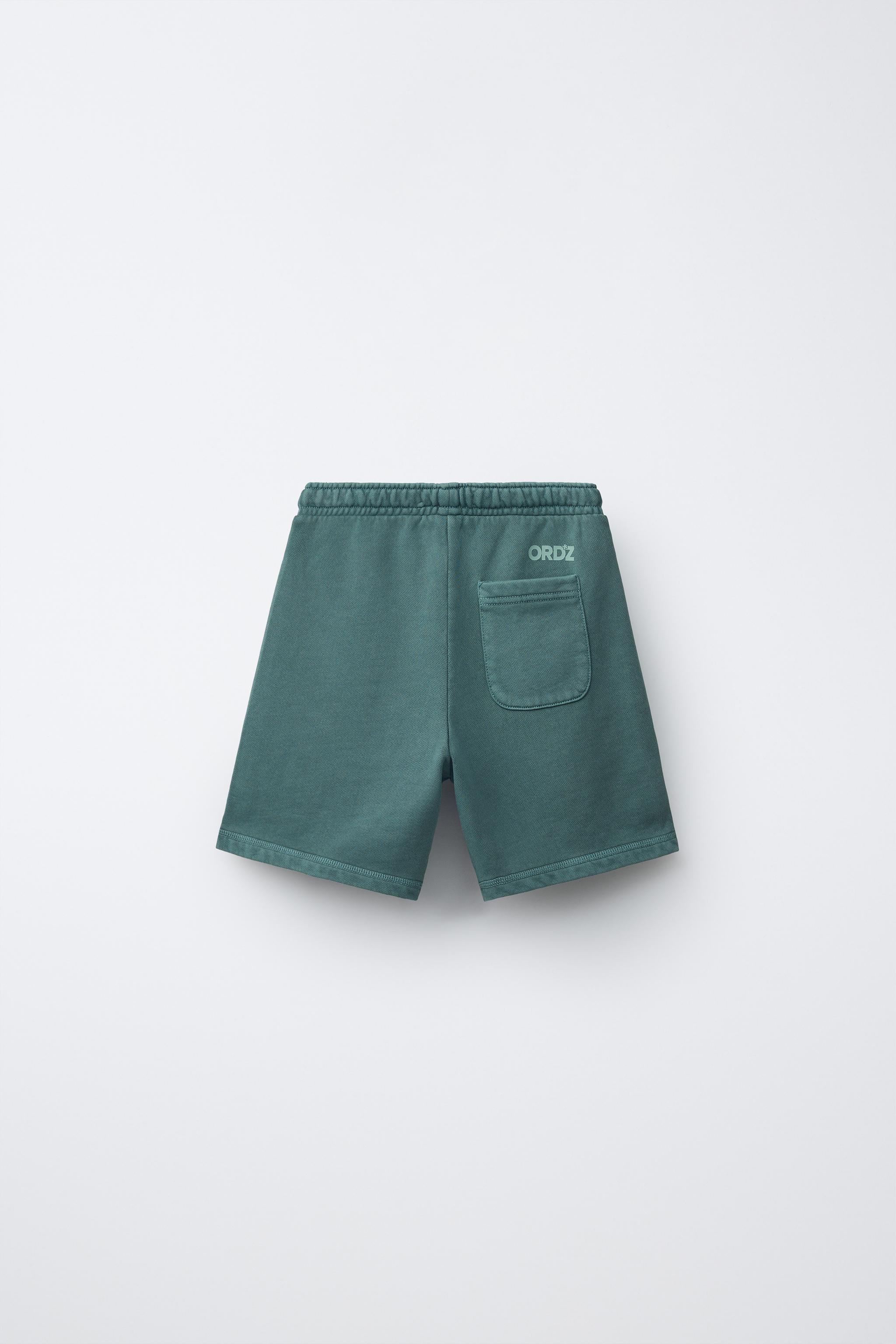 GARMENT DYED LOGO PLUSH SHORTS